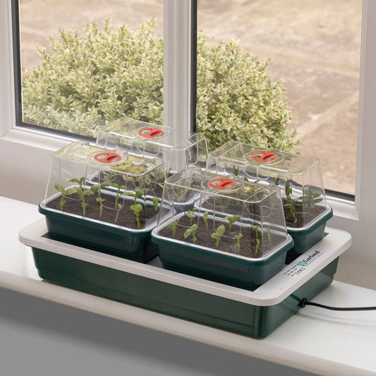 Fab 4 Heated Propagator