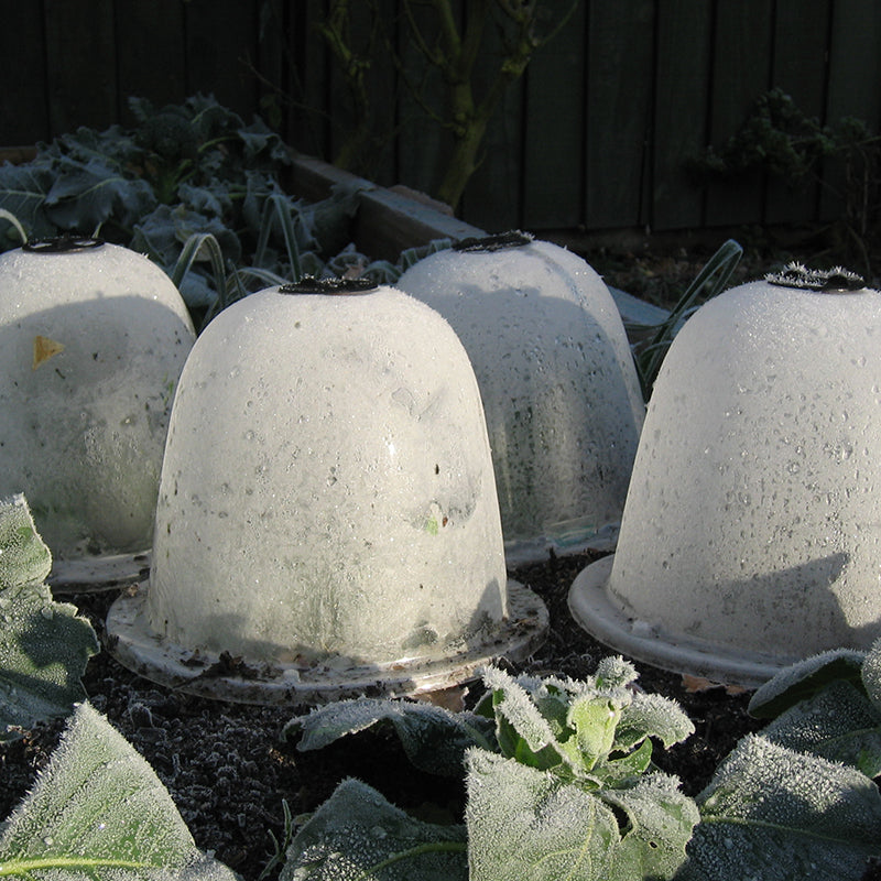 Baby Bell Cloche 3pk